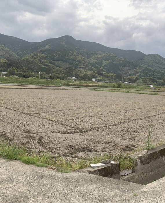 売却出来ない農地・青地の買取り