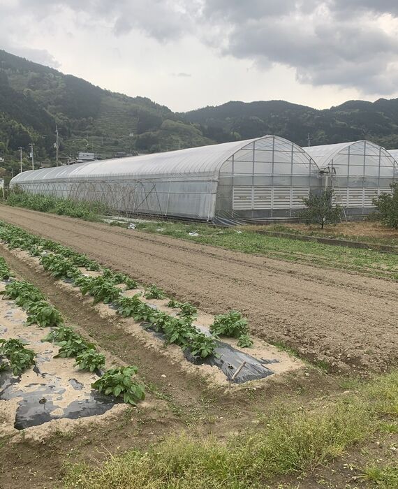 買取した農地・青地