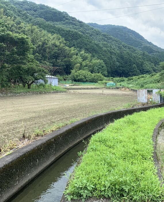売却出来ない農地・青地の買取り
