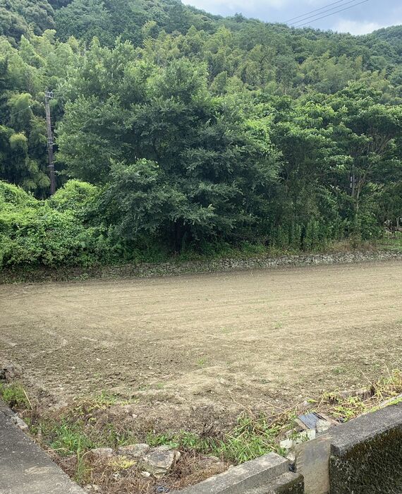 売却出来ない農地・青地の買取り