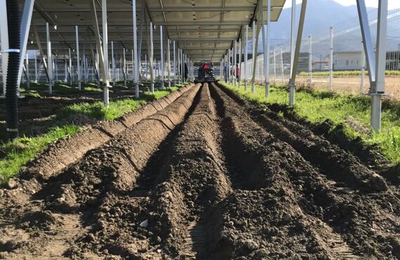 埼玉県羽生市で農地・青地の売却は買取り実績はあたらしやアグリバイオ株式会社へ！太陽光発電を全国展開