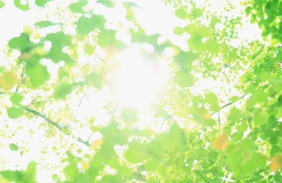 群馬県安中市で農地・青地の売却は買取実績多数のあたらしやアグリバイオへ！太陽光発電を全国展開