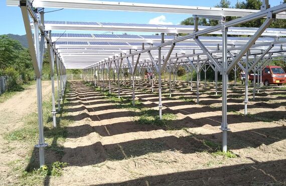 徳島県藍住町で農地・青地の売却は買取実績多数のあたらしやアグリバイオへ！太陽光発電を全国展開