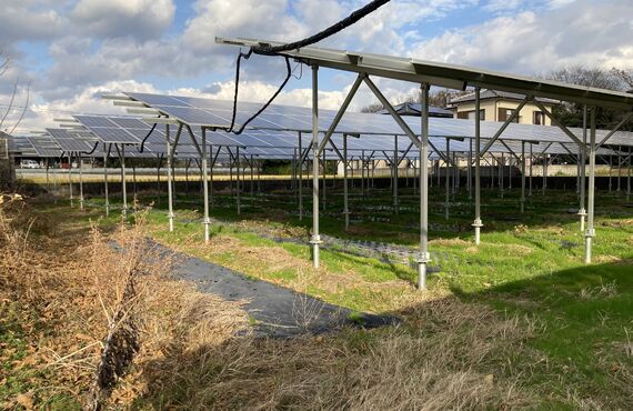 神奈川県大井町で農地の売却は、青地や一種農地の買取実績多数の農業法人あたらしやアグリバイオ株式会社