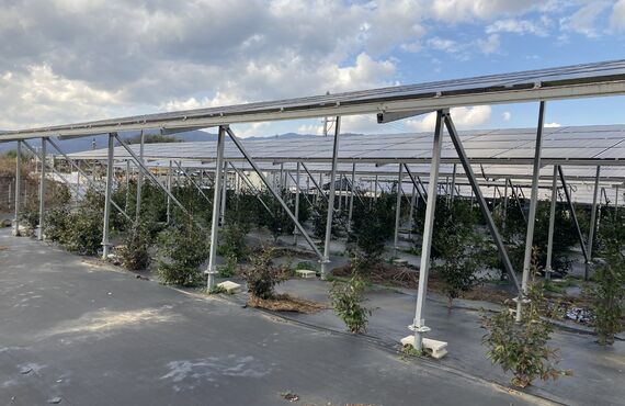 神奈川県綾瀬市で青地や一種農地の売却は、全国で買取実績多数の農業法人あたらしやアグリバイオ株式会社