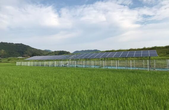 群馬県下仁田村で青地や一種農地などの農地の売却は、買取実績多数の農業法人あたらしやアグリバイオ株式会社へ！