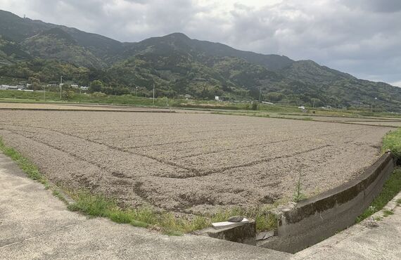 農地を売るならあたらしやアグリバイオ株式会社へご相談ください