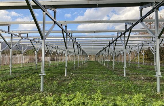 太陽光発電用地の買取業者はあたらしやアグリバイオ株式会社