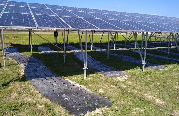 太陽光用の土地売却は、あたらしやアグリバイオ株式会社にご相談ください