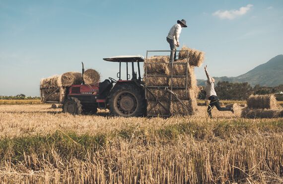 農地を利用し日本の問題解決！農地を売りたい方は、あたらしやアグリバイオ株式会社にご相談下ください！