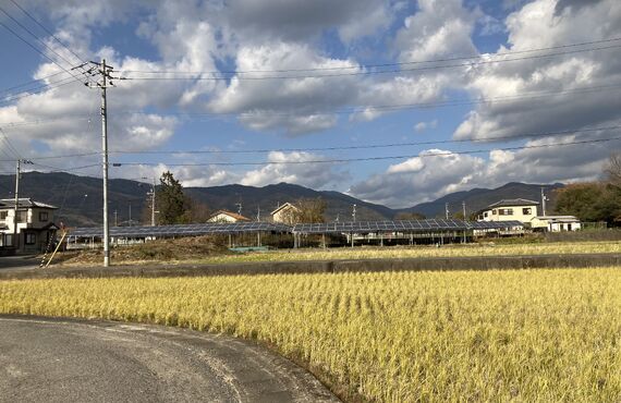 農地を売る方法をお探しの方は、あたらしやアグリバイオ株式会社にご相談ください
