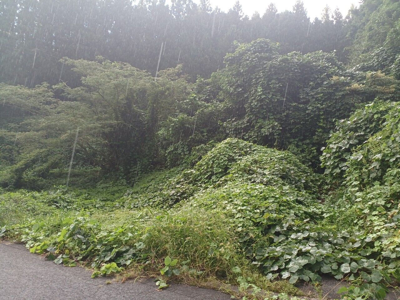 LINE_ALBUM_二本松市NO.267　㈱あたらしや_220909_6