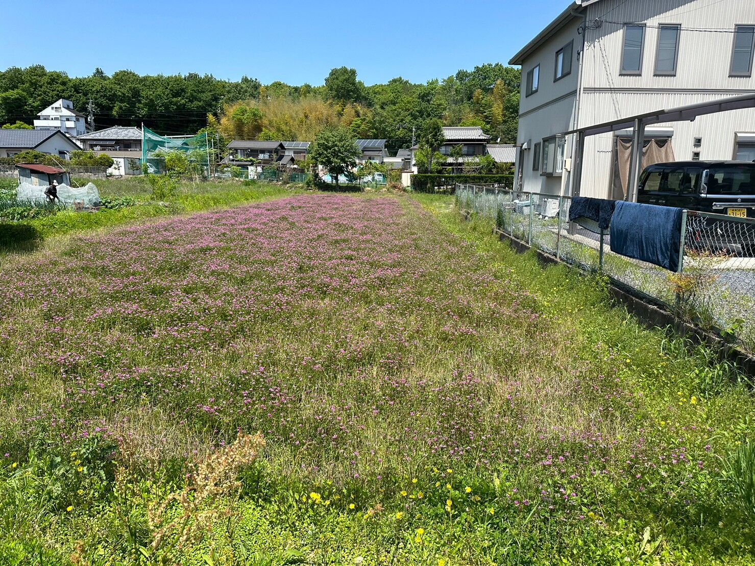 LINE_ALBUM_202352 NO.356多治見_230503_10